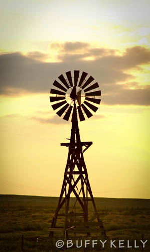 Picture