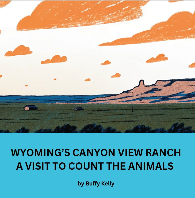 Wyoming's Canyon View Ranch A Visit to Count The Animals
